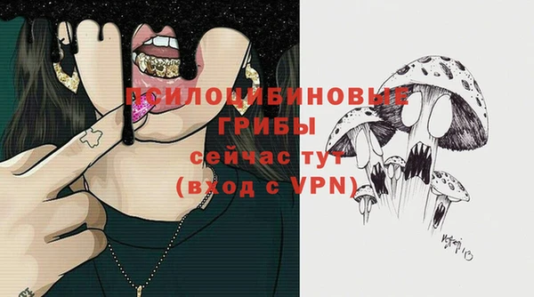 мескалин Алексин