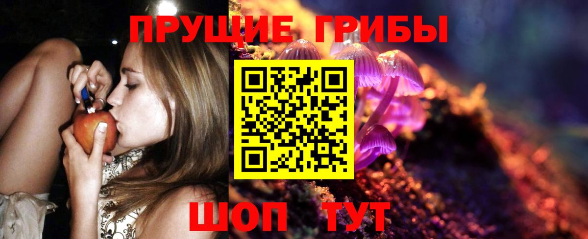 Псилоцибиновые грибы Magic Shrooms  Вход с VPN  Чистополь  Галлюциногенные грибы GOLDEN TEACHER 
