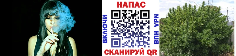 Бошки Шишки ГИДРОПОН  блэк спрут tor  Чистополь 