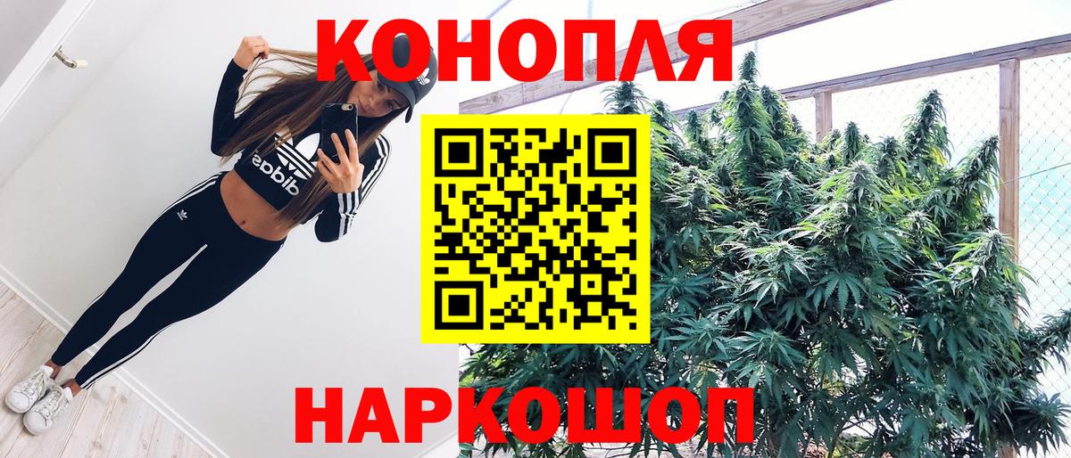 Бошки марихуана гибрид Чистополь
